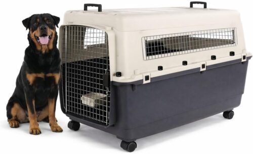 CAGE DE TRANSPORT POUR CHIEN PLASTIQUE ROBUSTE PORTE METALIQUE AVEC VERROU DE SECURITE 70X100X69.5 15€ CAGE DE TRANSPORT POUR CHIEN PLASTIQUE ROBUSTE PORTE METALIQUE AVEC VERROU DE SECURITE 70X100X69.5