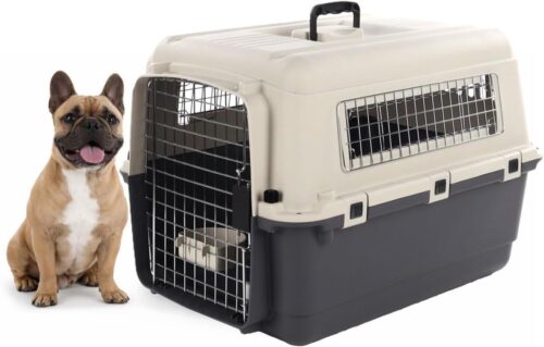 CAGE DE TRANSPORT POUR CHIEN. PLASTIQUE ROBUSTE PORTE METALLIQUE VEROU DE SECURITE 53X67X47 11€ CAGE DE TRANSPORT POUR CHIEN. PLASTIQUE ROBUSTE PORTE METALLIQUE VEROU DE SECURITE 53X67X47