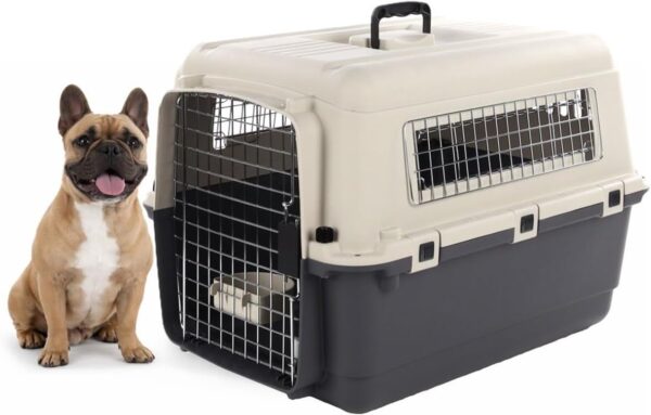 CAGE DE TRANSPORT POUR CHIEN. PLASTIQUE ROBUSTE PORTE METALLIQUE VEROU DE SECURITE 53X67X47 11€ CAGE DE TRANSPORT POUR CHIEN. PLASTIQUE ROBUSTE PORTE METALLIQUE VEROU DE SECURITE 53X67X47