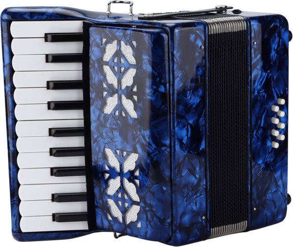 ACCORDEON PROFESSIONNEL CLE 8 BASSE 15€ ACCORDEON PROFESSIONNEL CLE 8 BASSE