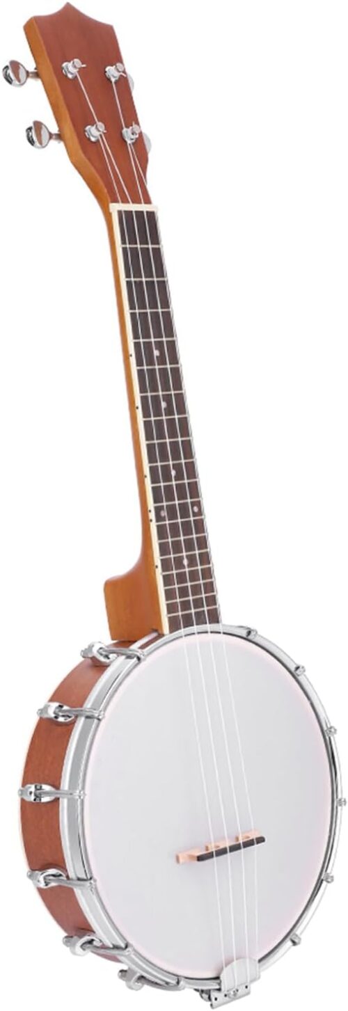 BANJO A 4 CORDES SITAR 15€ BANJO A 4 CORDES SITAR