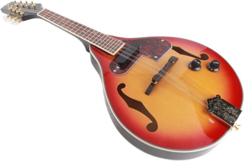 MANDOLINE ELECTRIQUE 15€ MANDOLINE ELECTRIQUE
